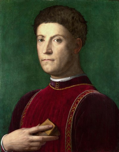 Piero de Medici by Agnolo Bronzino